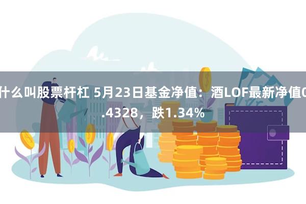 什么叫股票杆杠 5月23日基金净值：酒LOF最新净值0.4328，跌1.34%