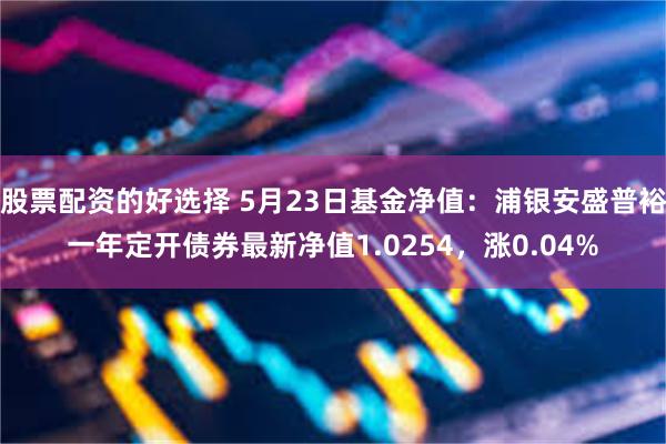 股票配资的好选择 5月23日基金净值：浦银安盛普裕一年定开债券最新净值1.0254，涨0.04%