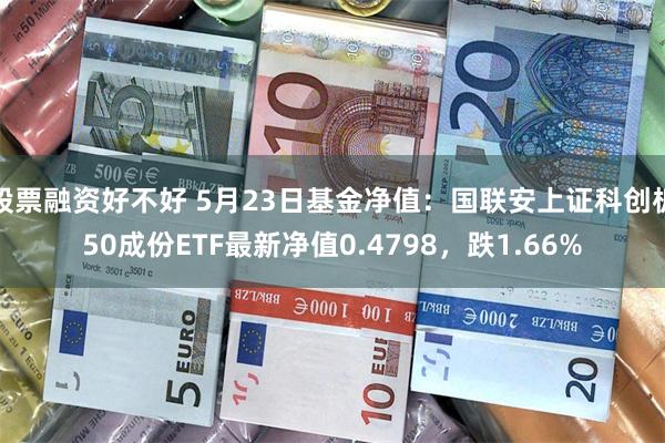 股票融资好不好 5月23日基金净值：国联安上证科创板50成份ETF最新净值0.4798，跌1.66%