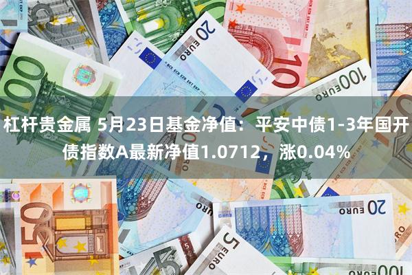 杠杆贵金属 5月23日基金净值：平安中债1-3年国开债指数A最新净值1.0712，涨0.04%