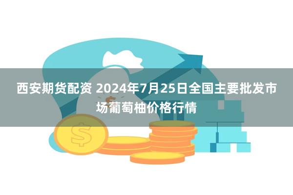 西安期货配资 2024年7月25日全国主要批发市场葡萄柚价格行情