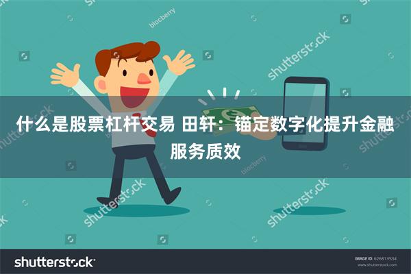 什么是股票杠杆交易 田轩：锚定数字化提升金融服务质效