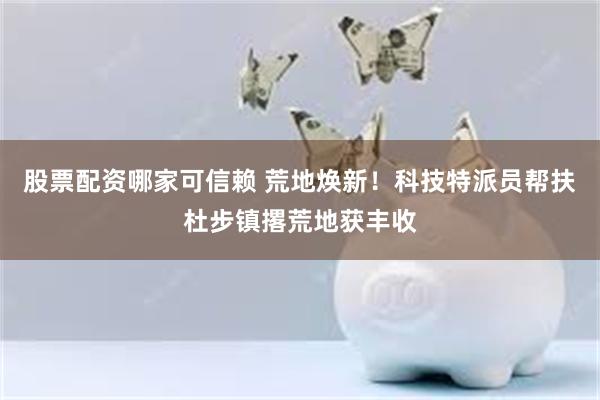 股票配资哪家可信赖 荒地焕新！科技特派员帮扶杜步镇撂荒地获丰收