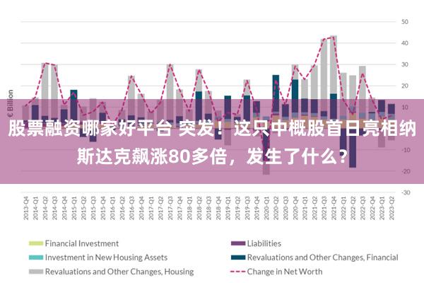 股票融资哪家好平台 突发！这只中概股首日亮相纳斯达克飙涨80多倍，发生了什么？