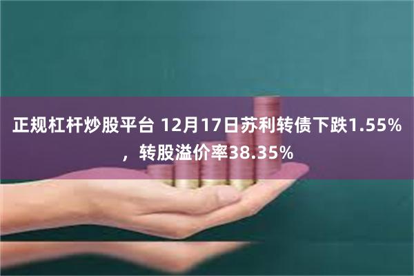 正规杠杆炒股平台 12月17日苏利转债下跌1.55%，转股溢价率38.35%